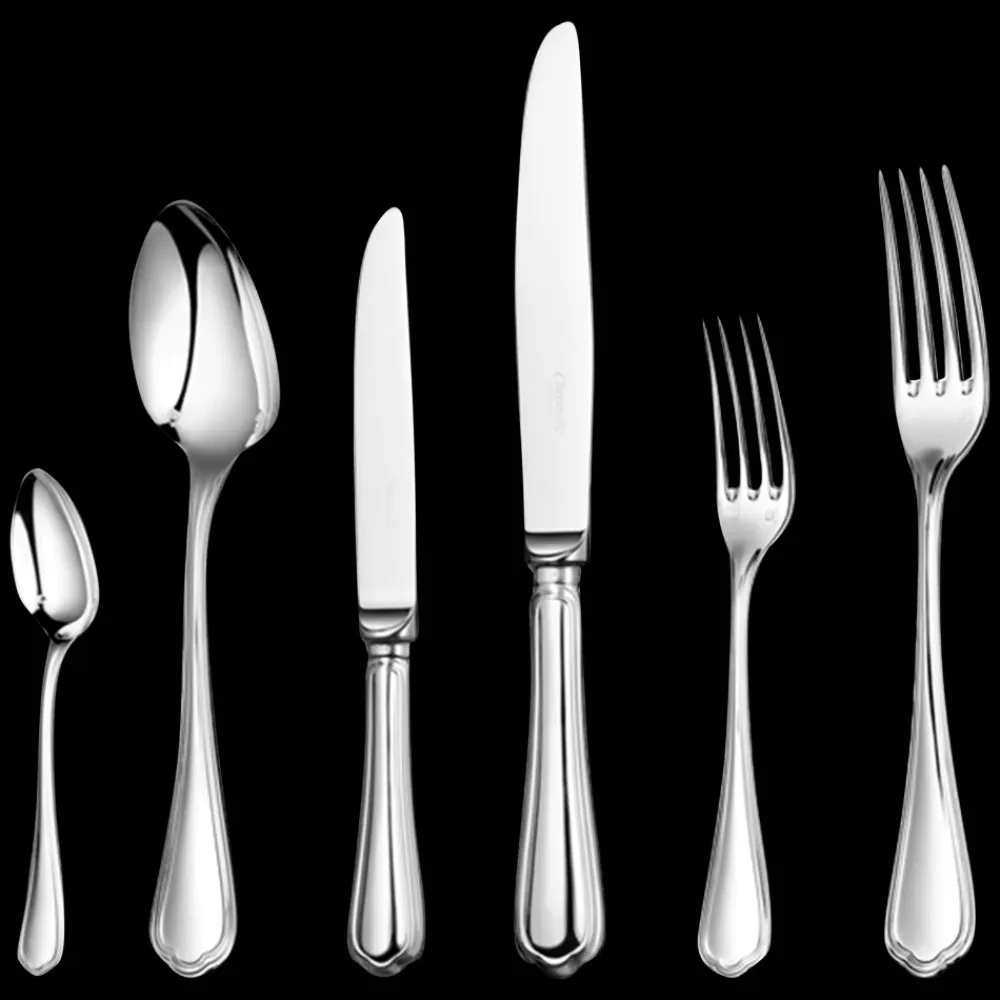Christofle 110 Piece Silver-Plated Flatware Set with Chest