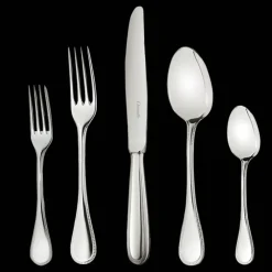 Christofle 110-Piece Stainless Steel Flatware Set with chest