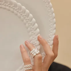 Christofle Porcelain Dessert Plate