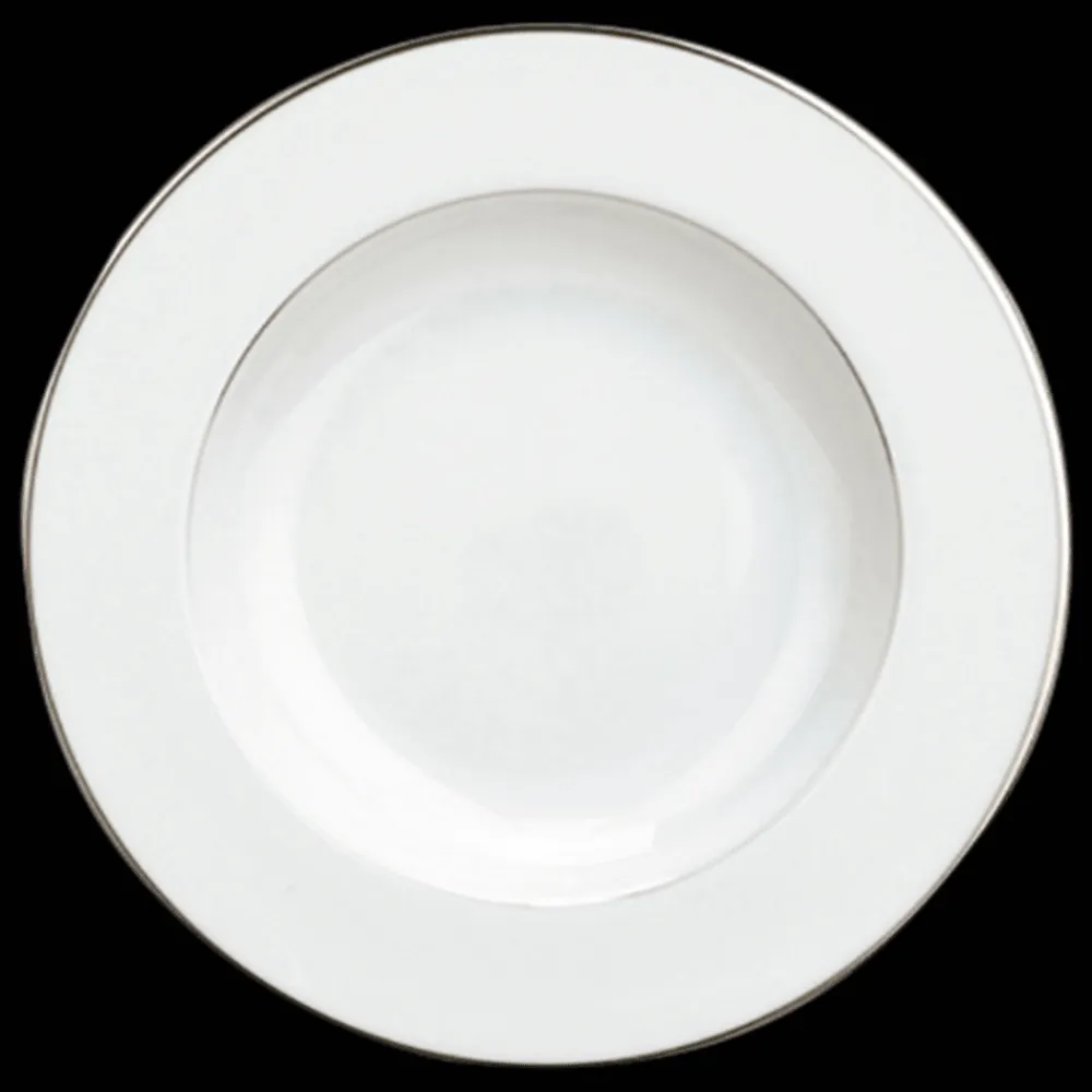 Christofle Porcelain Rimmed Soup Plate