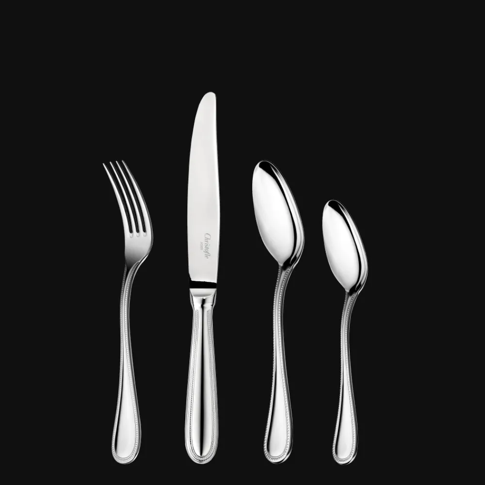 Christofle Stainless Steel Medium Individual Flatware Set